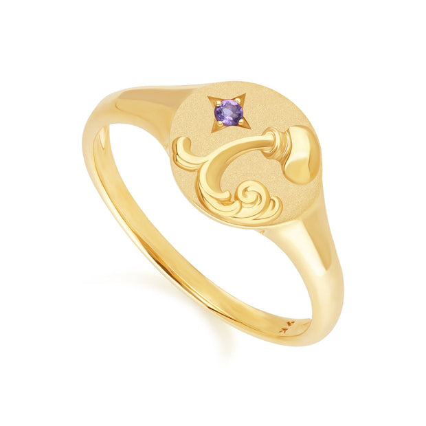 Anello con sigillo dello zodiaco Acquario in oro giallo da 9 ct con ametista