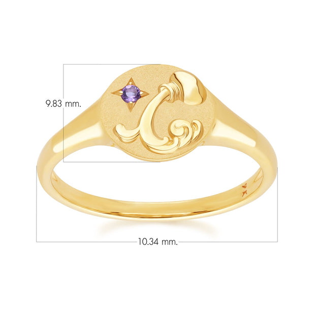 Anello con sigillo dello zodiaco Acquario in oro giallo da 9 ct con ametista