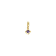 Charm's Collection Achievement Ametista "Pietra della forza" Argento 925 placcato oro giallo